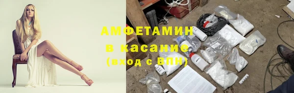 стаф Абаза