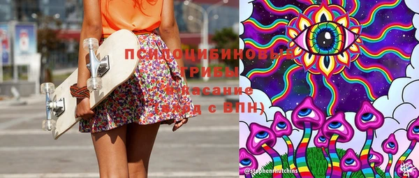 ECSTASY Алзамай