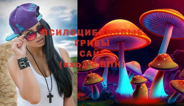 кокаин премиум Алексин