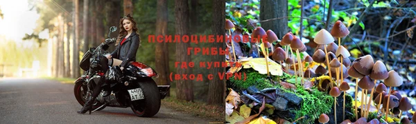 ECSTASY Алзамай