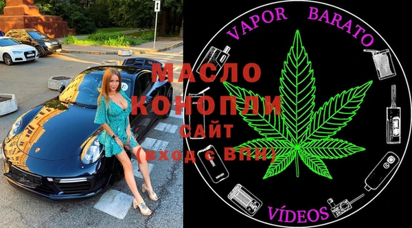 ECSTASY Алзамай