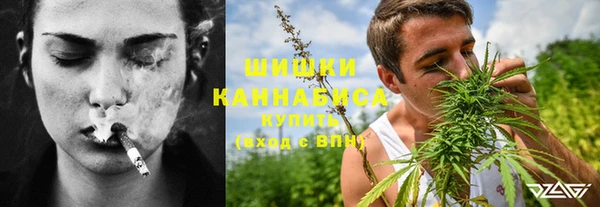 ECSTASY Алзамай