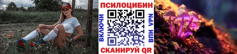 купить   Красавино  Галлюциногенные грибы Magic Shrooms 
